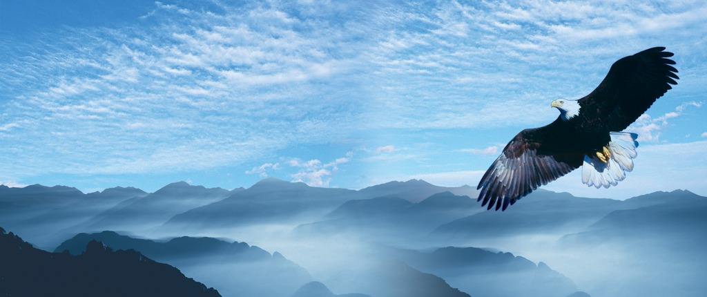 易初電線(xiàn)電纜文化