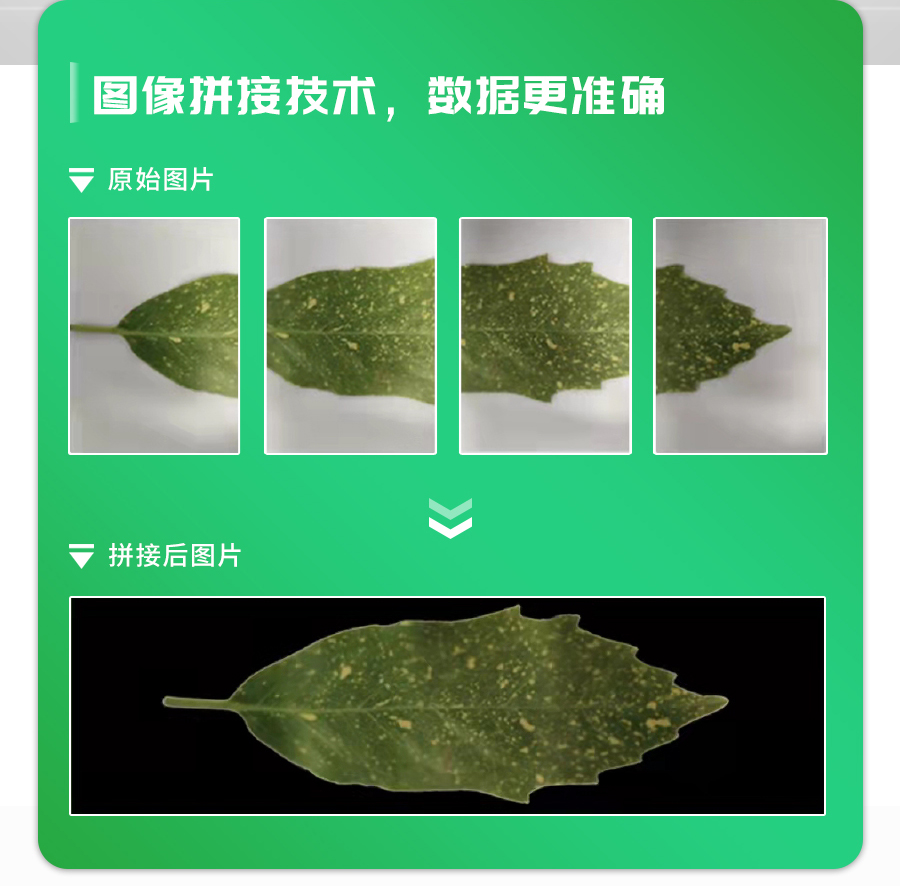 活體葉面積測(cè)定儀
